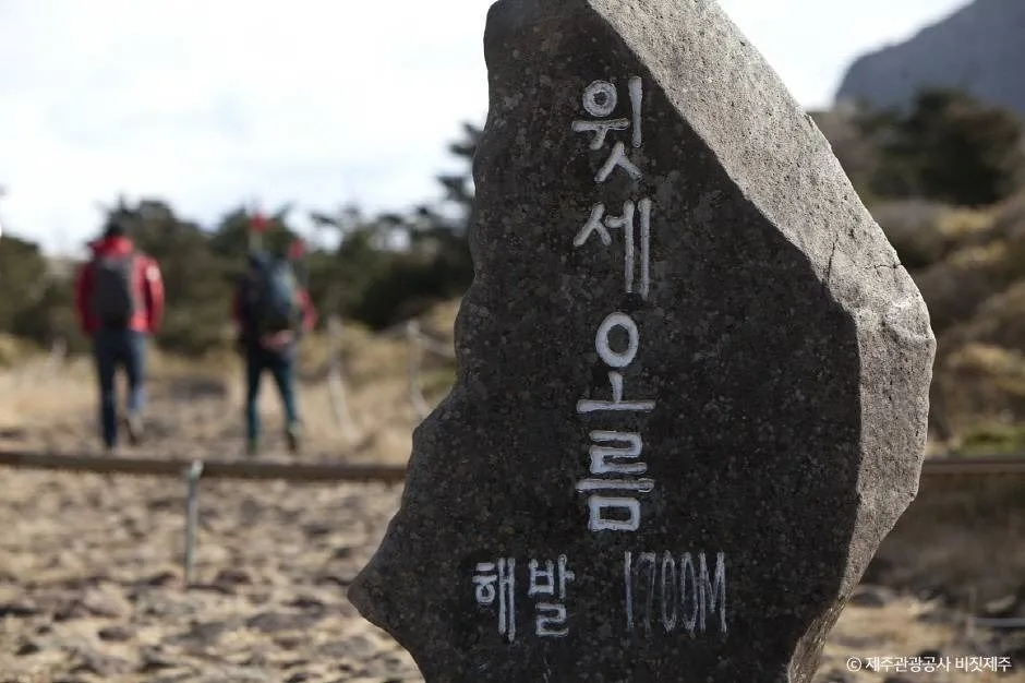 제주_윗세오름 (4)