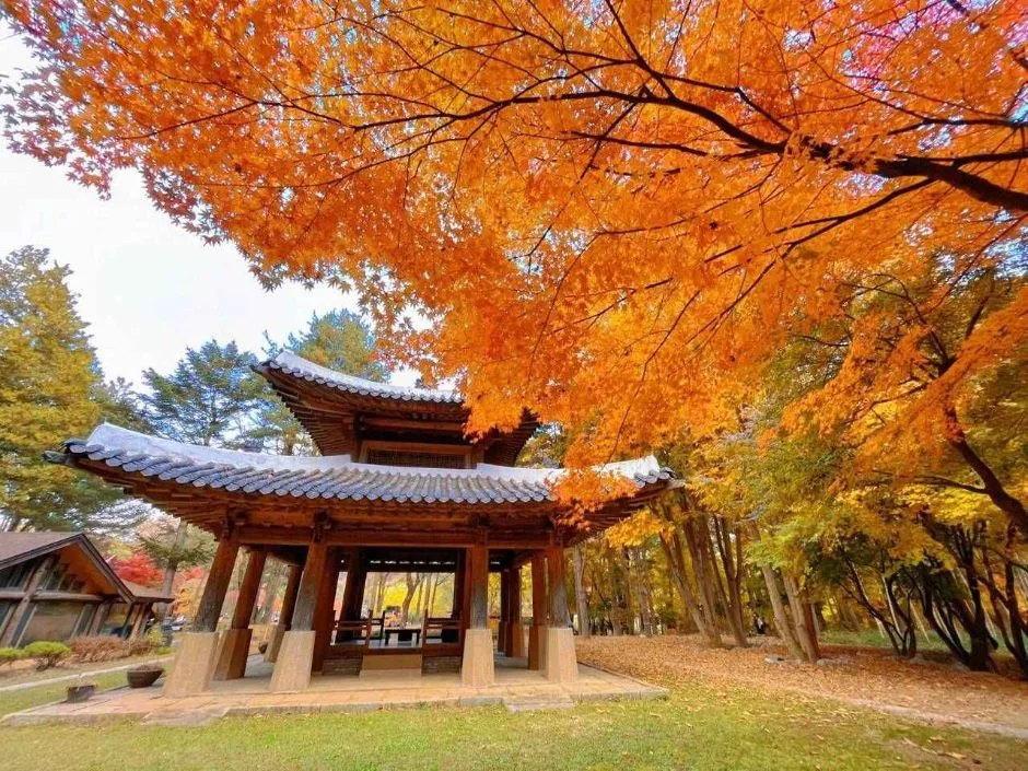 남이섬 (9)