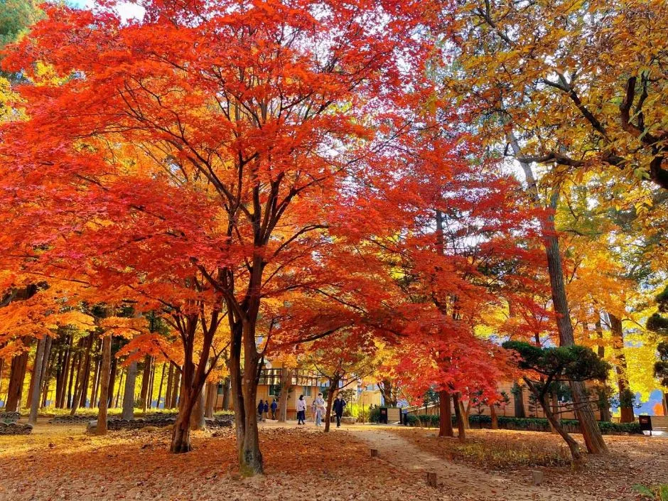 남이섬 (5)