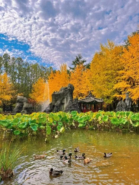남이섬 (3)