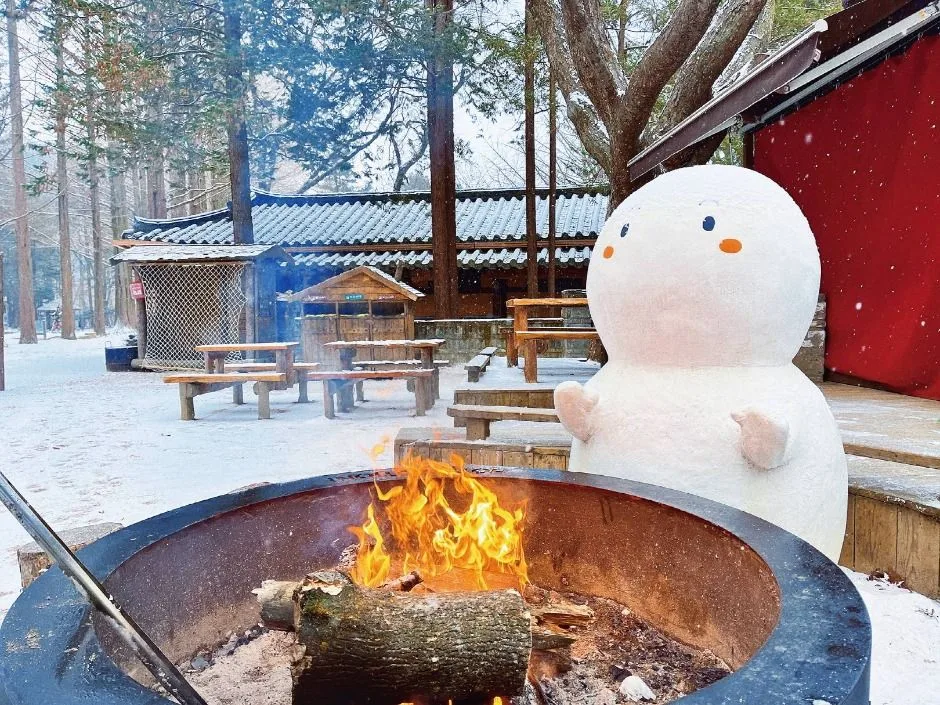 남이섬 (19)