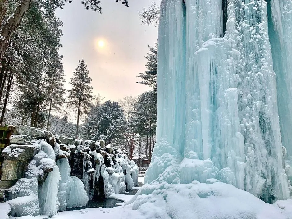 남이섬 (13)