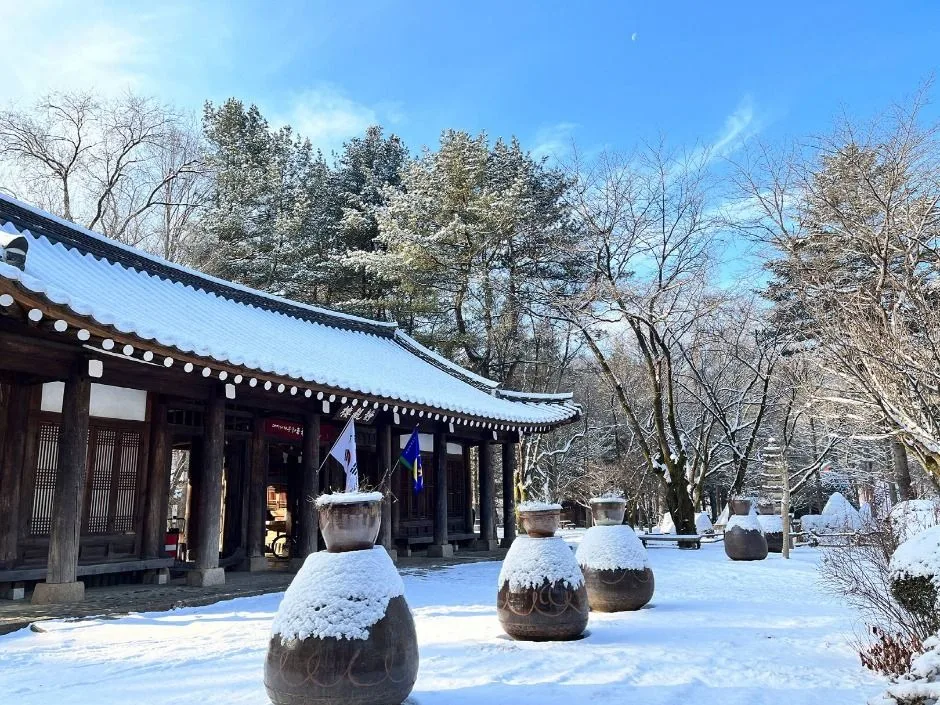 춘천_남이섬 (3)