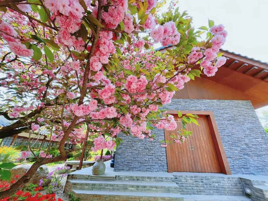 춘천_남이섬 (10)