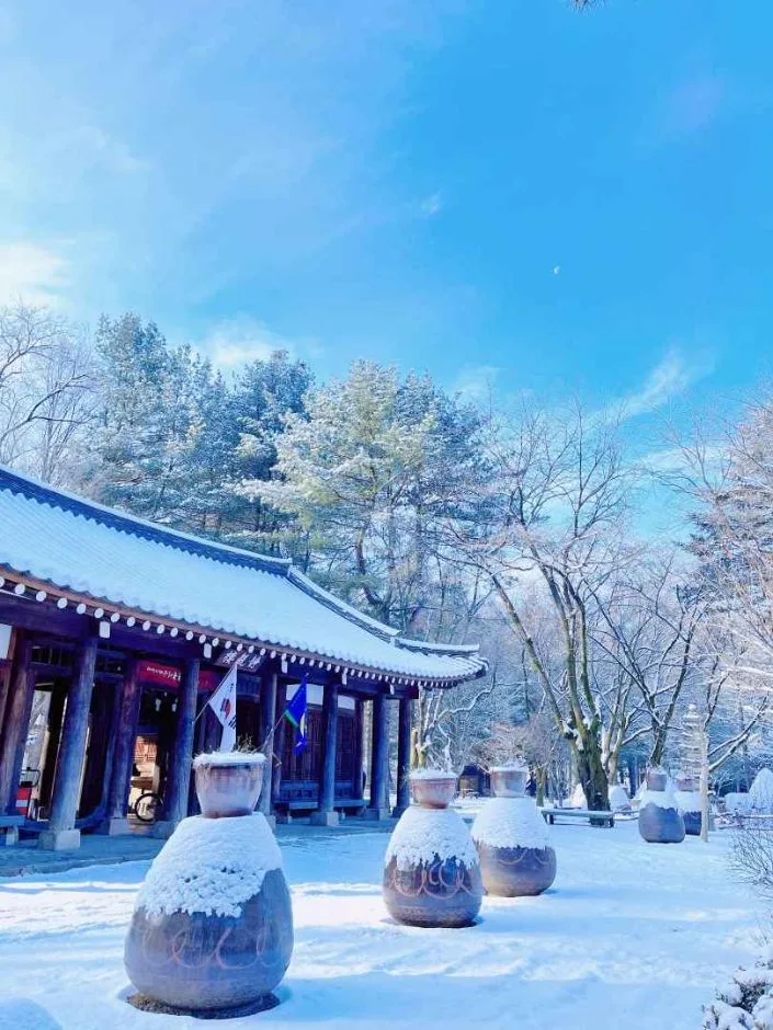 춘천_남이섬 (10).jpg