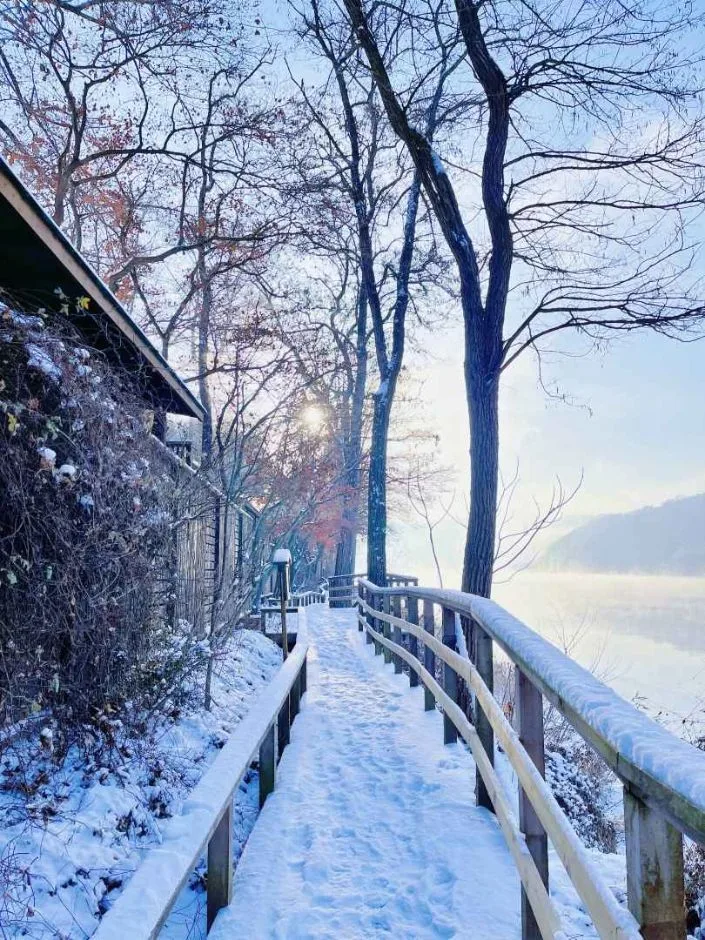 춘천_남이섬 (3).jpg