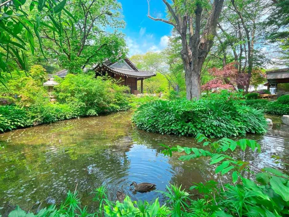 춘천_남이섬 (12).JPG