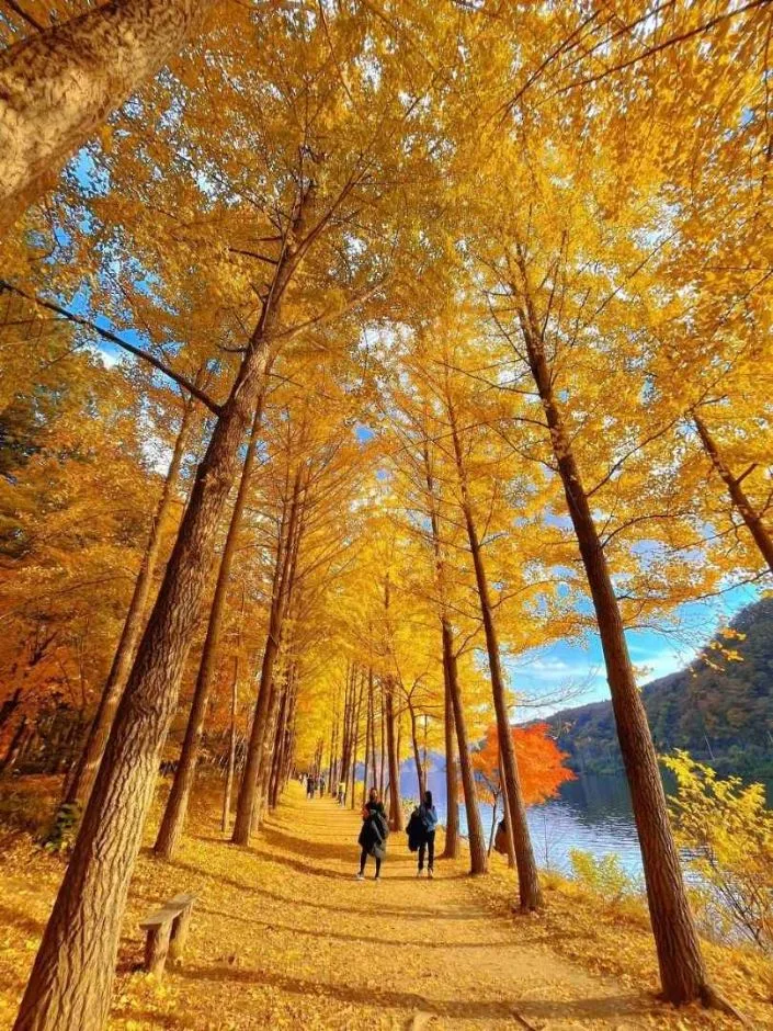 춘천_남이섬 (20).jpg