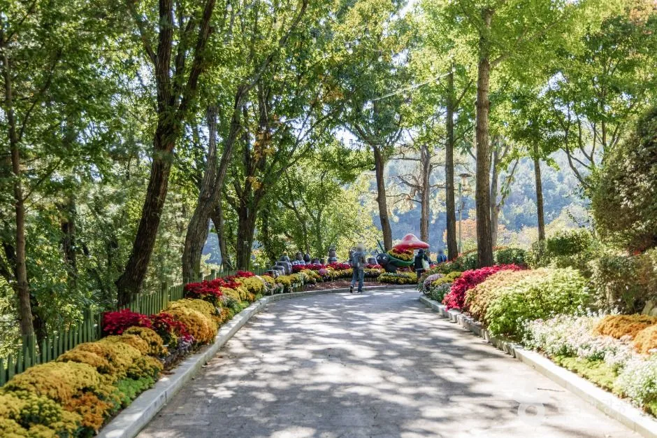 용인_용인농촌테마파크 (1)