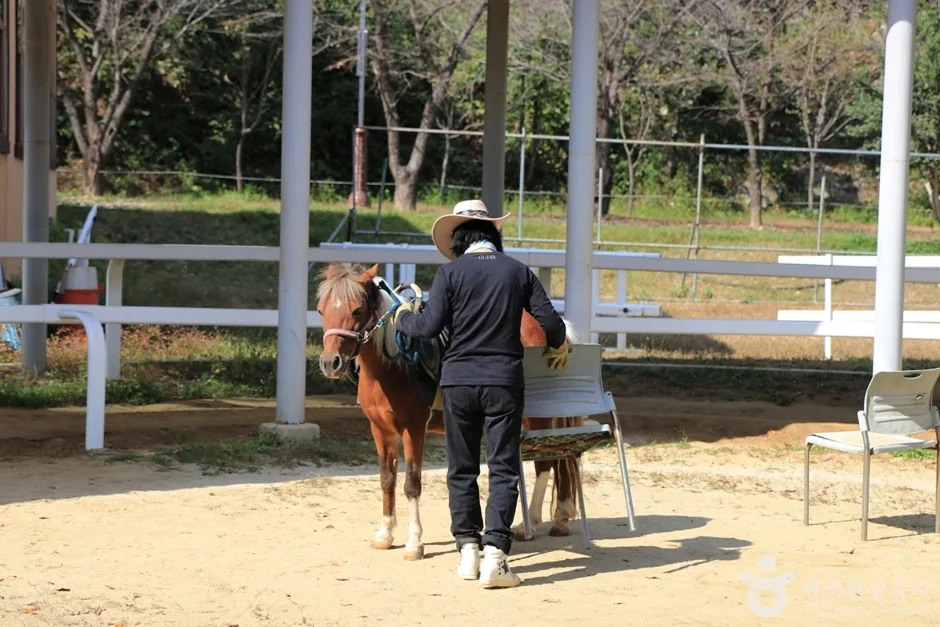 대가야기마문화체험장 (11)