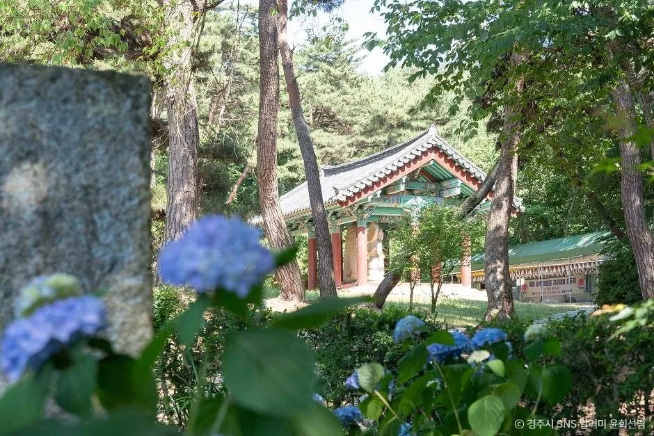 경주_삼불사 (4)