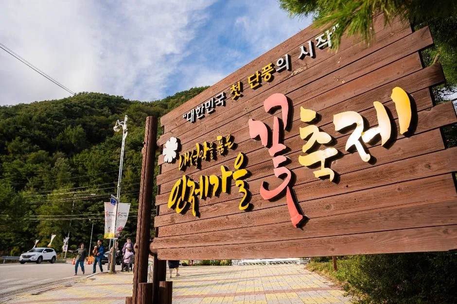 2025 인제가을꽃축제 5
