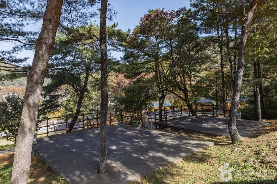 청주_옥화자연휴양림 (2)