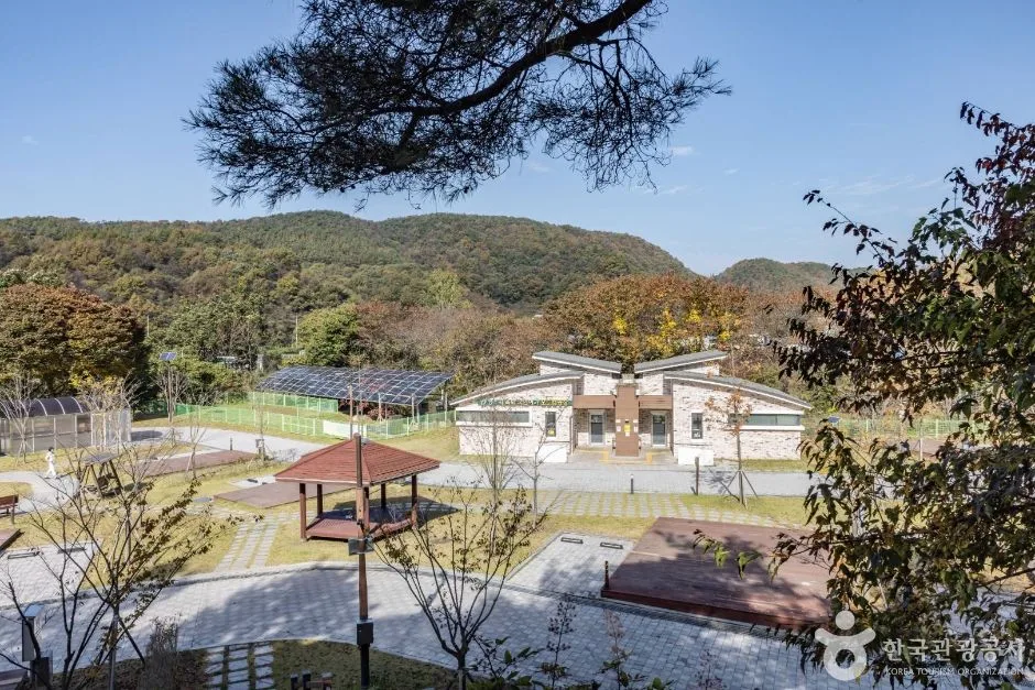청주_옥화자연휴양림 (3)