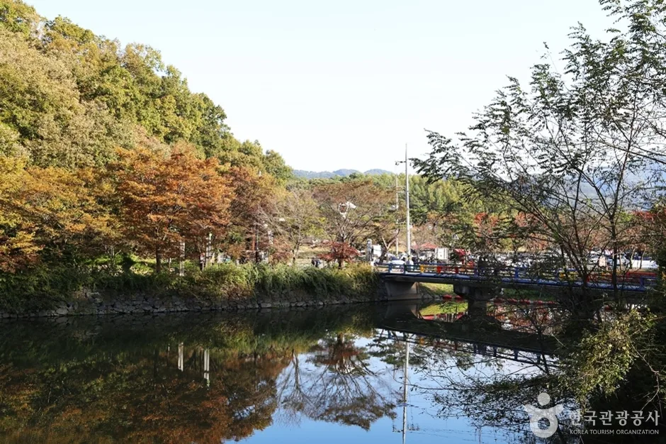 입곡 저수지 드라이브길 (20)