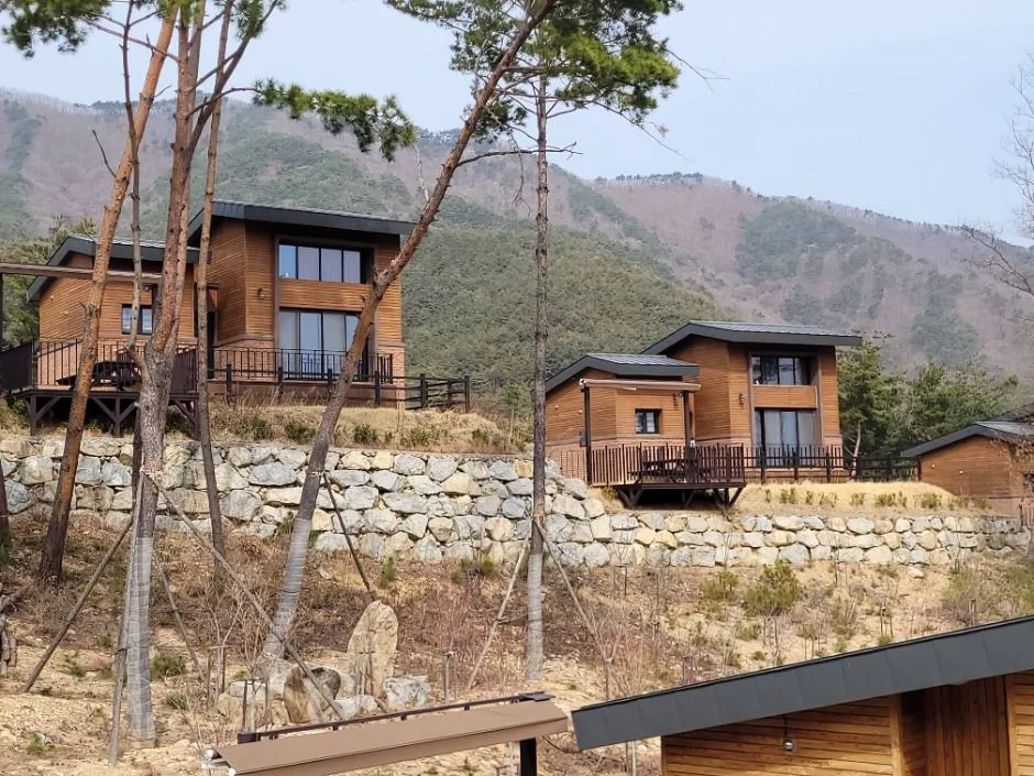 청도자연휴양림 (2)