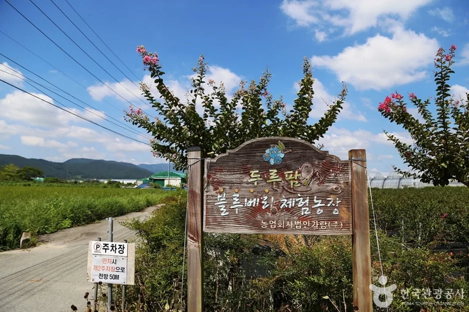 두루팜 (1)