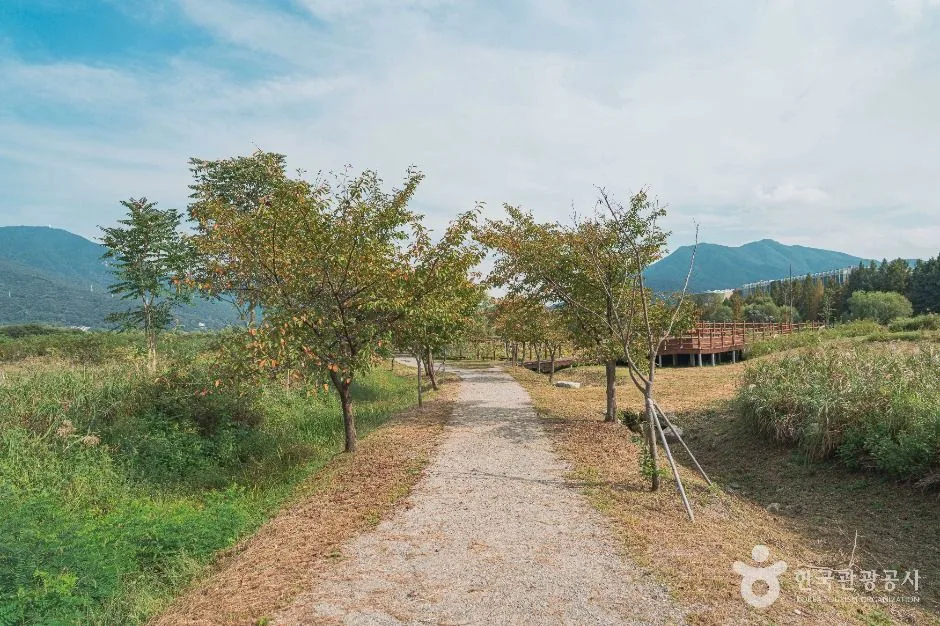 하남_당정뜰(팔당팔화수변공원) (4)