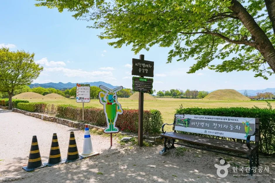 경주_경주 비단벌레 전동차 (4)