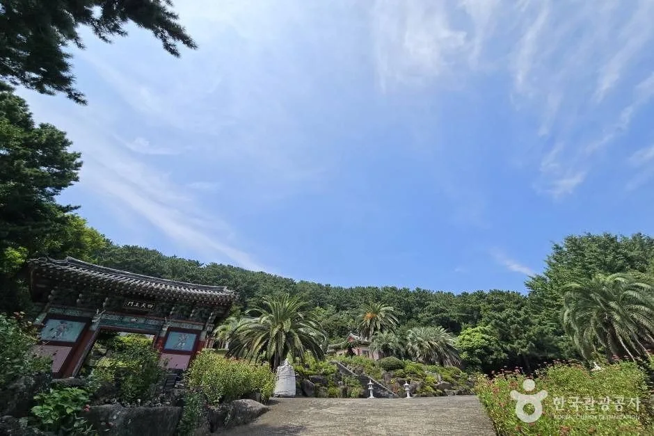보림사(제주)_e (4)