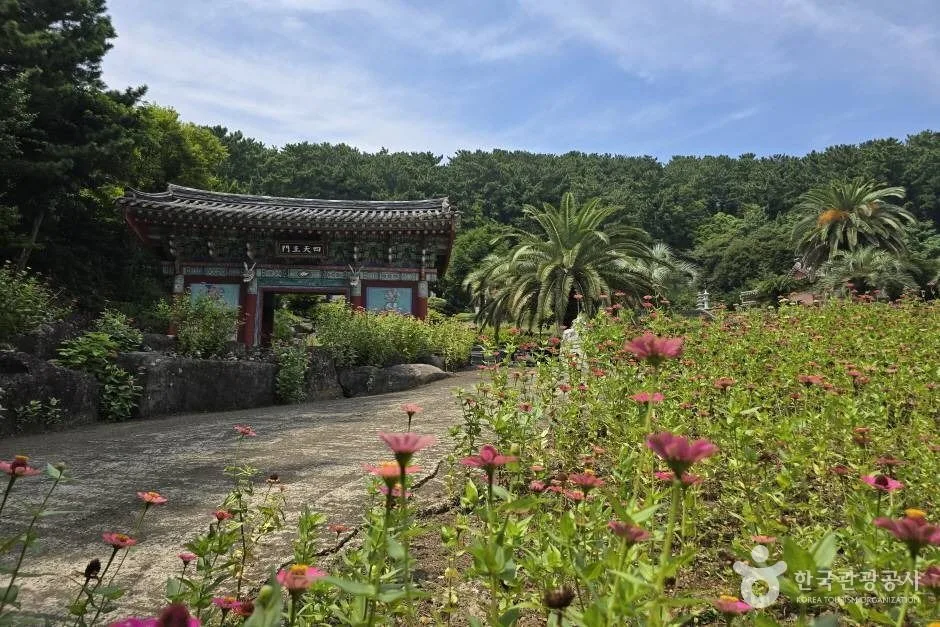 보림사(제주)_e (9)