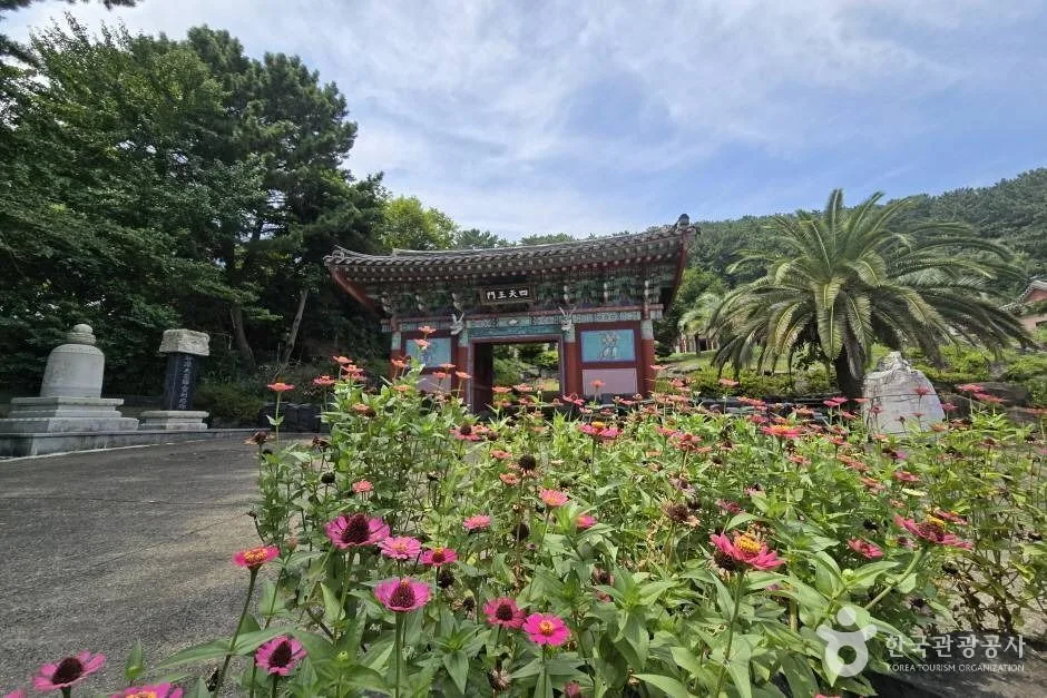 보림사(제주)_e (13)