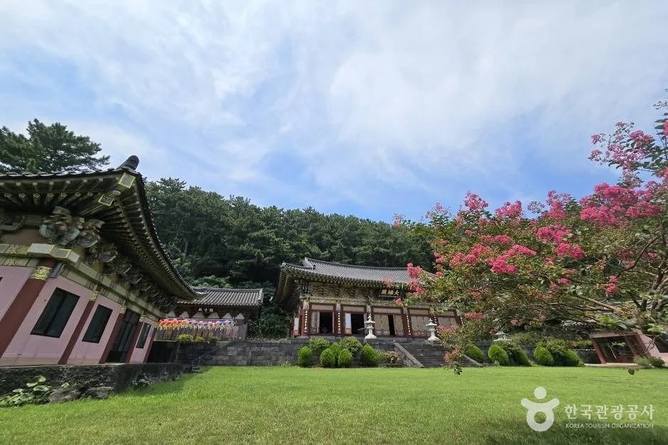 보림사(제주)_e (14)