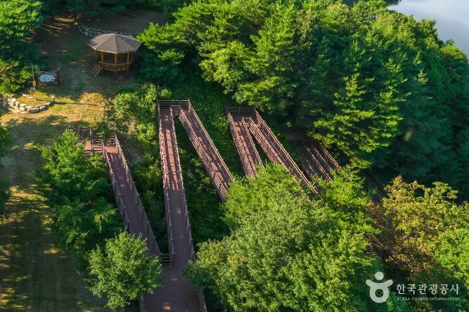예천_소백산하늘자락공원 (3)