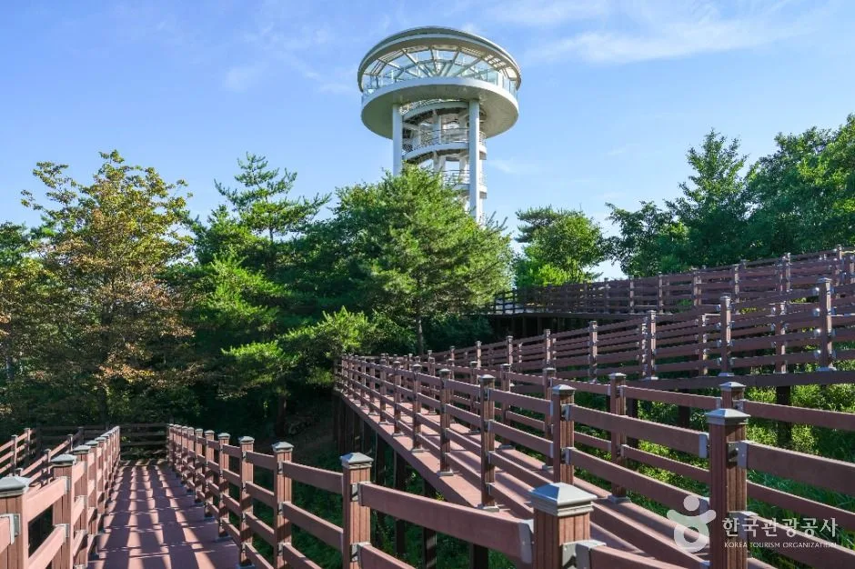예천_소백산하늘자락공원 (5)