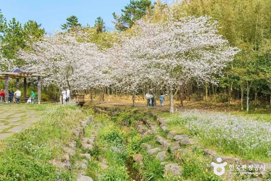 서귀포_대왕수천예래생태공원 (4).jpg