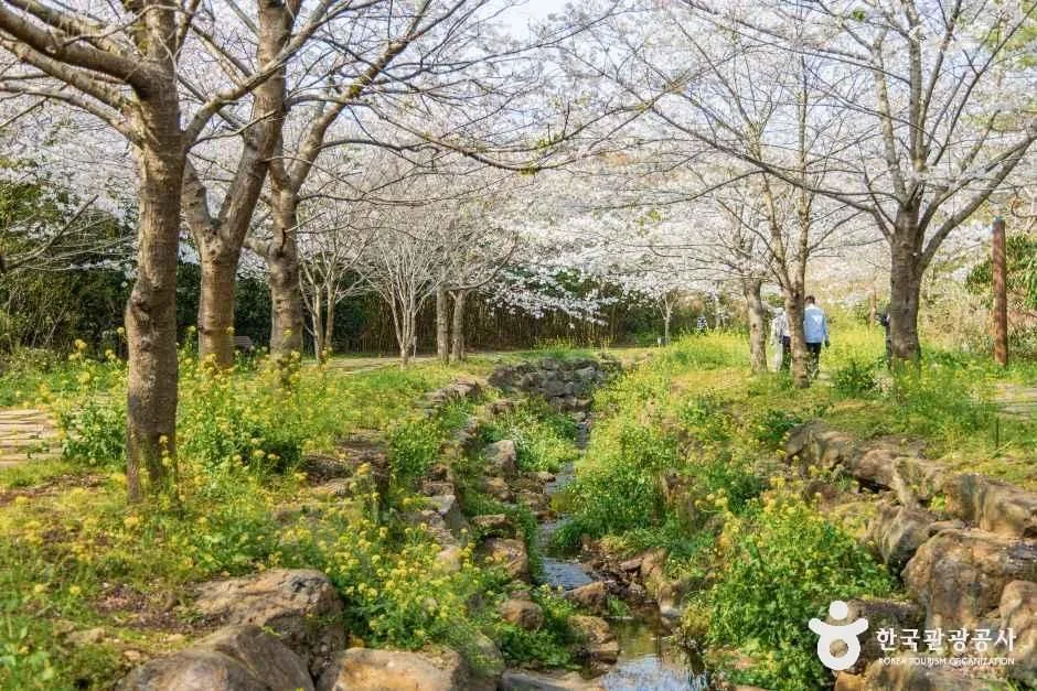 서귀포_대왕수천예래생태공원 (5).jpg
