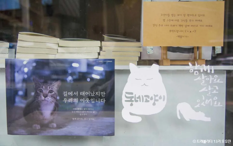 경북_구미_책봄_풍경5