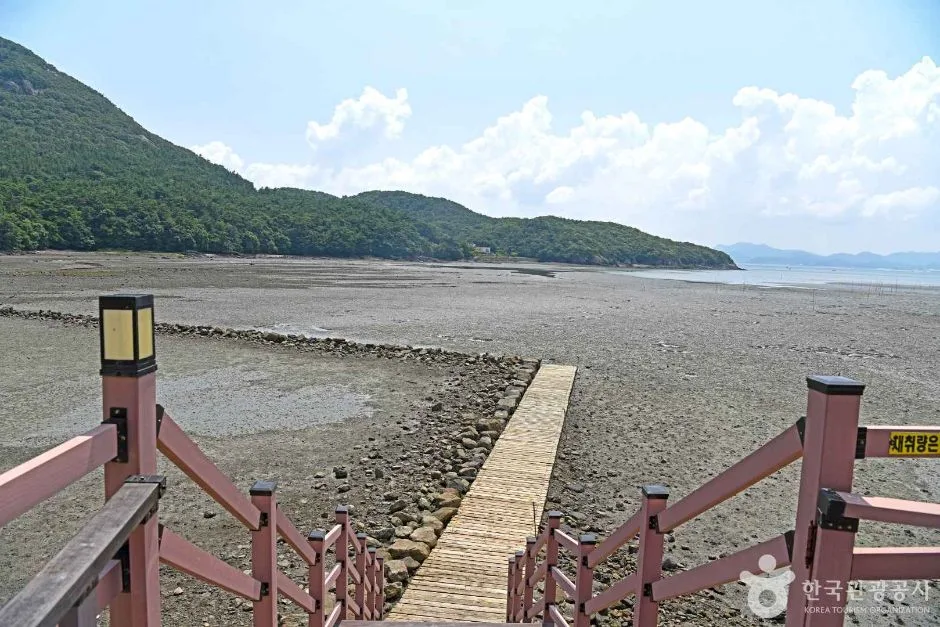 모항갯벌체험장 (5)