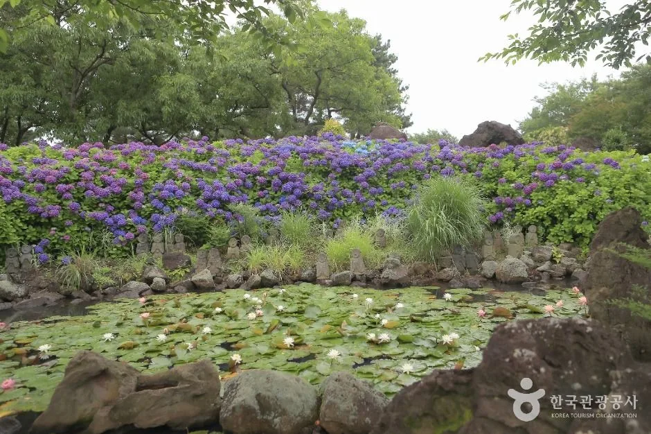 제주_제주동화마을 (11)