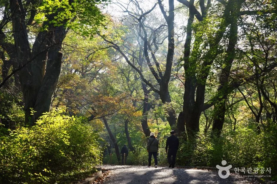 공주 갑사