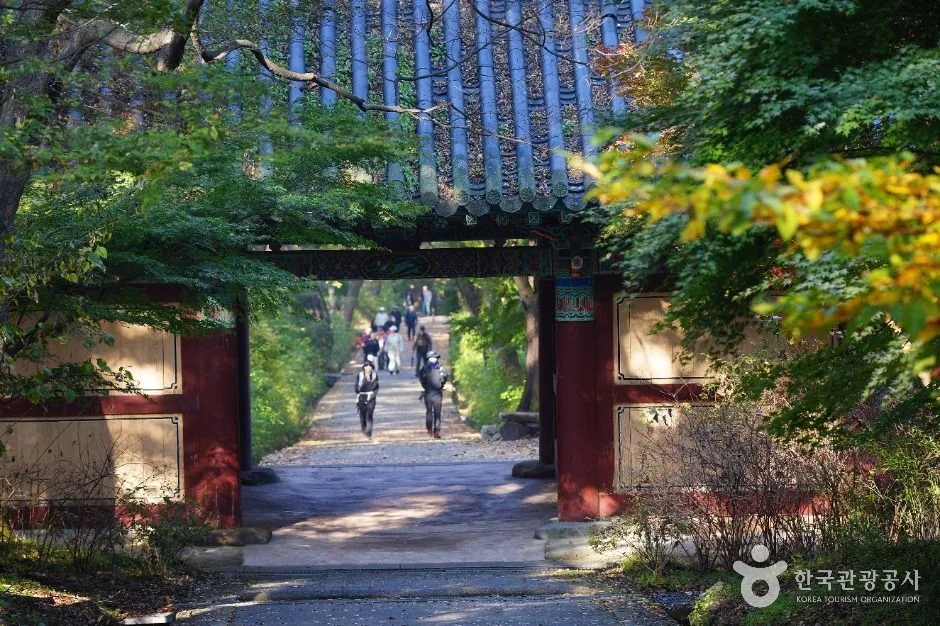 공주 갑사