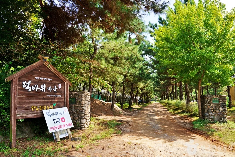 덕바위농촌체험휴양마을