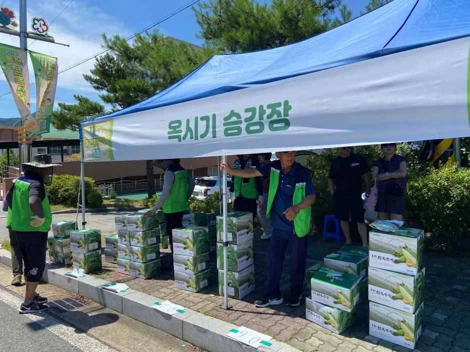 2026 홍천 찰옥수수 축제 (9).jpg