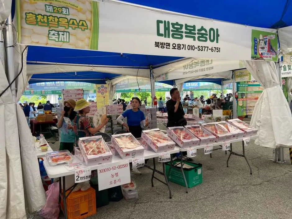 2026 홍천 찰옥수수 축제 (6).jpg