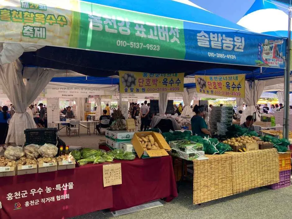 2026 홍천 찰옥수수 축제 (7).jpg