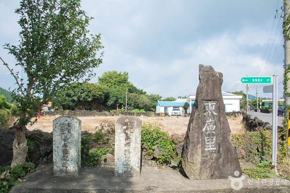 제주_서귀포_동광리농촌체험마을(7)