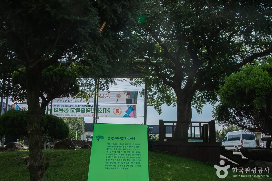제주_서귀포_동광리농촌체험마을(13)