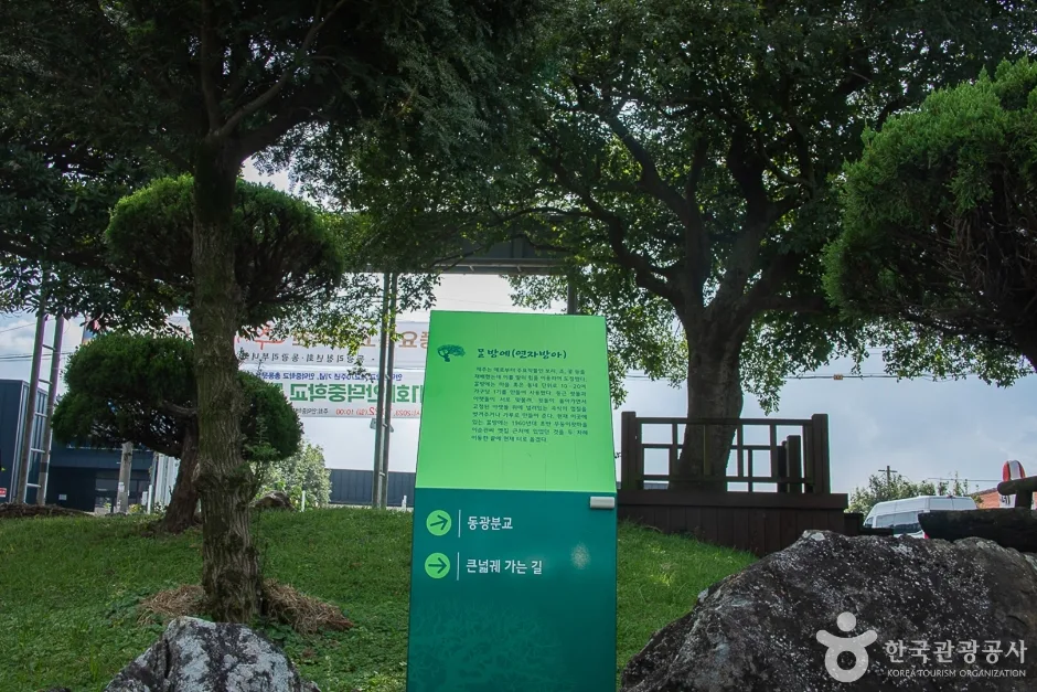 제주_서귀포_동광리농촌체험마을(14)