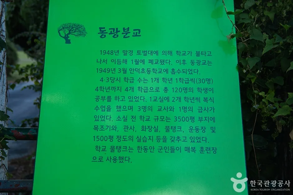 제주_서귀포_동광리농촌체험마을(4)