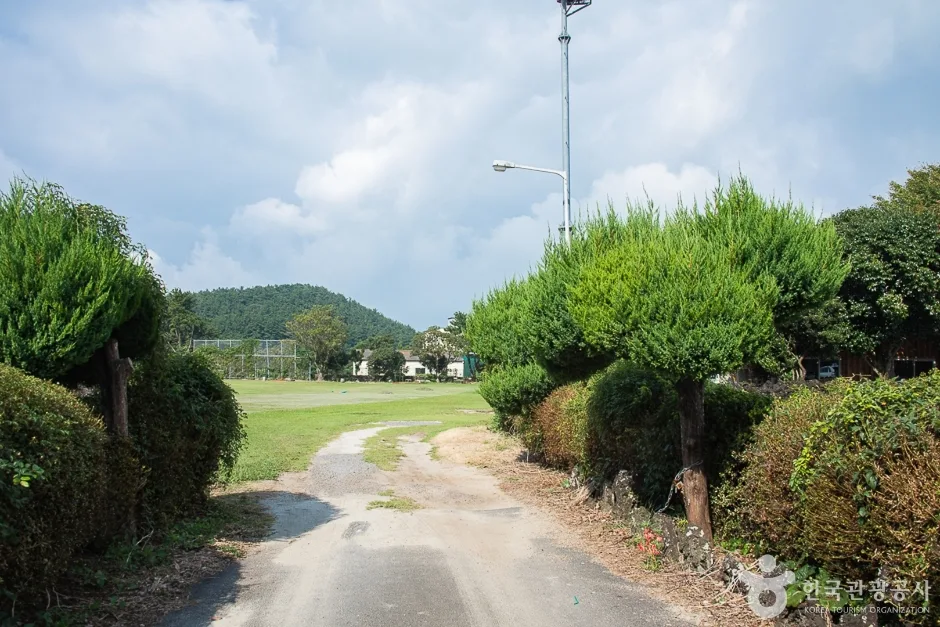 제주_서귀포_동광리농촌체험마을(16)