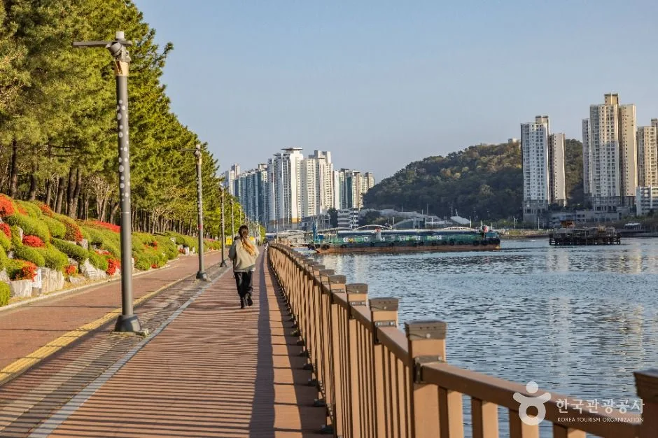 부산_센텀 APEC나루공원 (7)