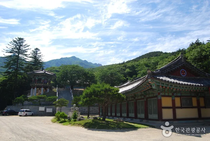고성의 독특한 전통문화를 즐기다