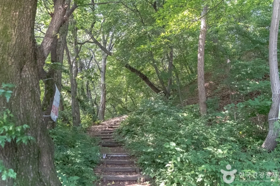 광교산체육공원