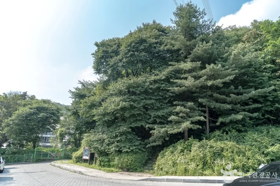 광교산체육공원 (6)
