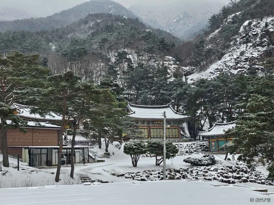 개덕사 (4)